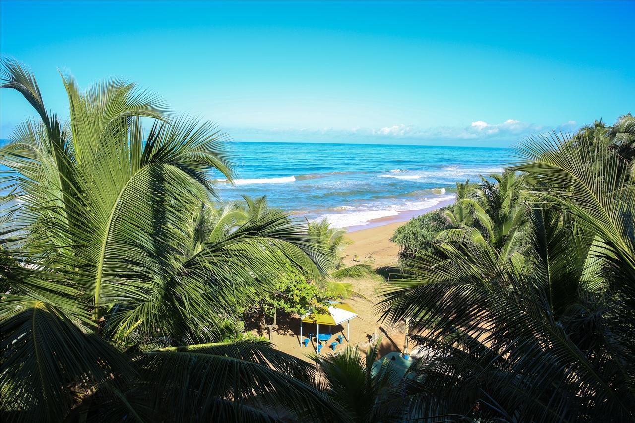 Oasey Ayurveda Hotel Bentota Ngoại thất bức ảnh